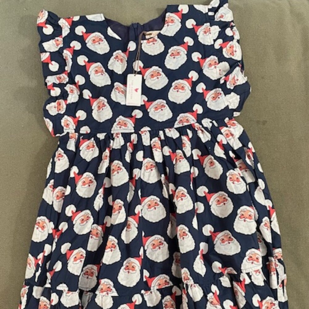 NWT Pink Chicken New York sz10y holiday dress